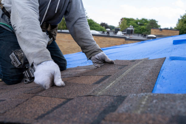 Best Storm Damage Roof Repair  in Henderson, KY